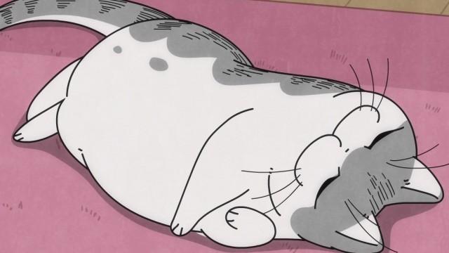 Night 43: Taking a Break with Kyuruga