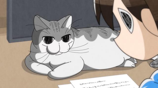 Night 45: A Cat Whose Face Changes Every Time You Look