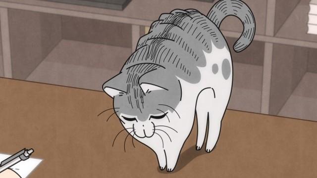 Night 50: A Cat Makes Itself Comfortable