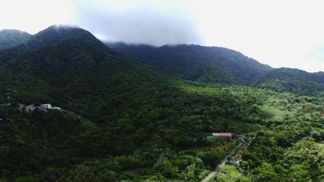 Rock 'N' Roll Island