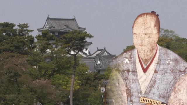 天下人を生んだ一族 三河松平家の実像