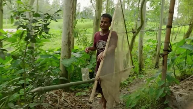 Bangladés: la vida entre el monzón y la estación seca