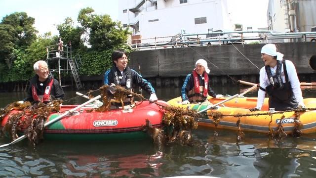 DASH海岸に慎太郎初上陸!!生物調査&3年目ワカメの森