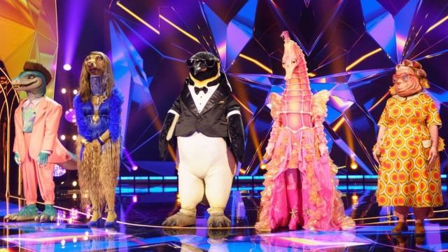 Découvrez les 5 premiers chanteurs masqués