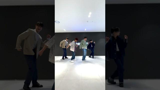 [#SHORTee] SHINee, Shawol and civilized people walk like this