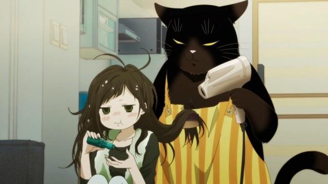 The Masterful Cat is Loved