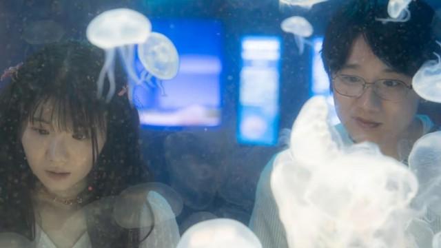 両想い！初めての水族館デート
