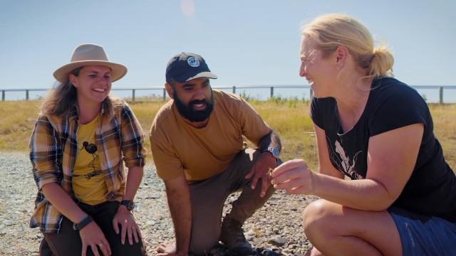 Mackenzie Basin