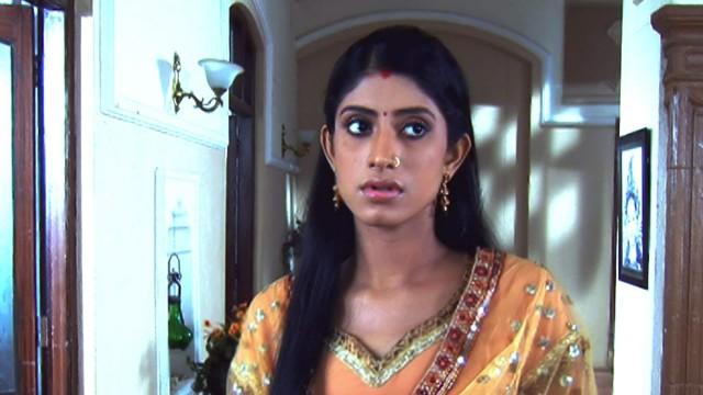 What is Vidya up to?