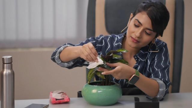 A New Feeling for Katha 