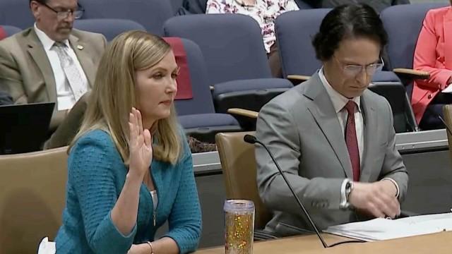 Uber/Lyft, Downtown St. Paul real estate, Reporter panel