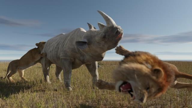 Are Rhinos OP?