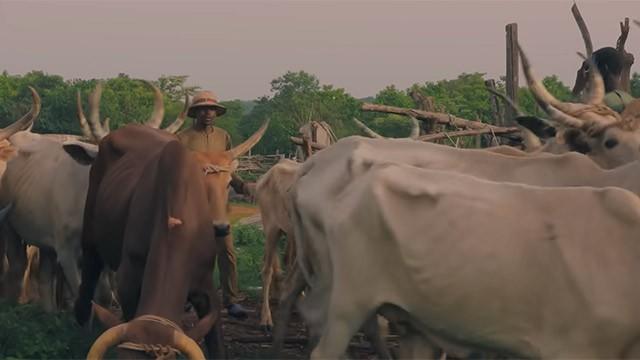 Cambio climático y escasez de agua en Benín