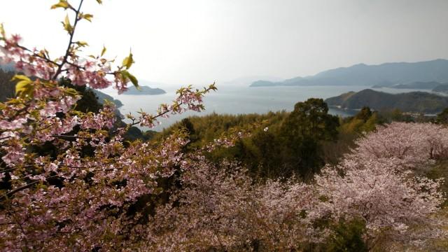 瀬戸内の春