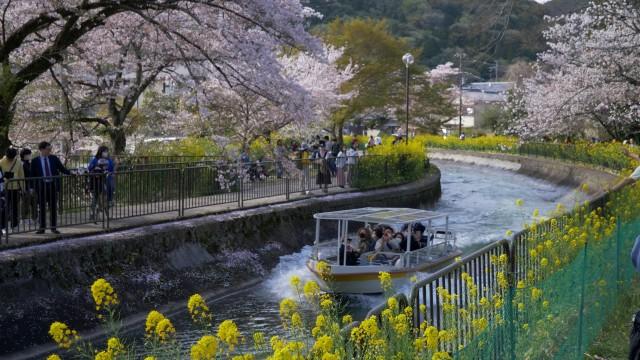 水辺の京都