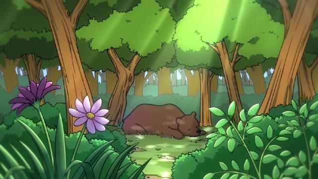 Bear Storm