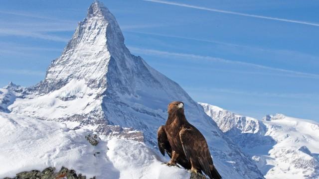 Die Alpen (2): Sommerwelt
