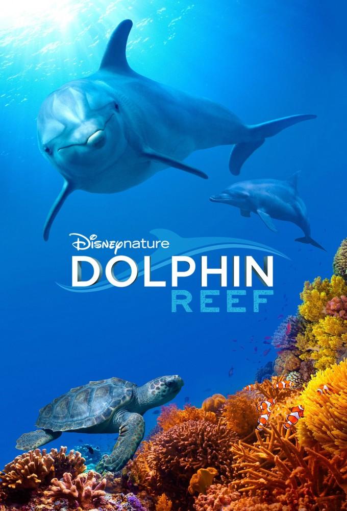 Dolphins