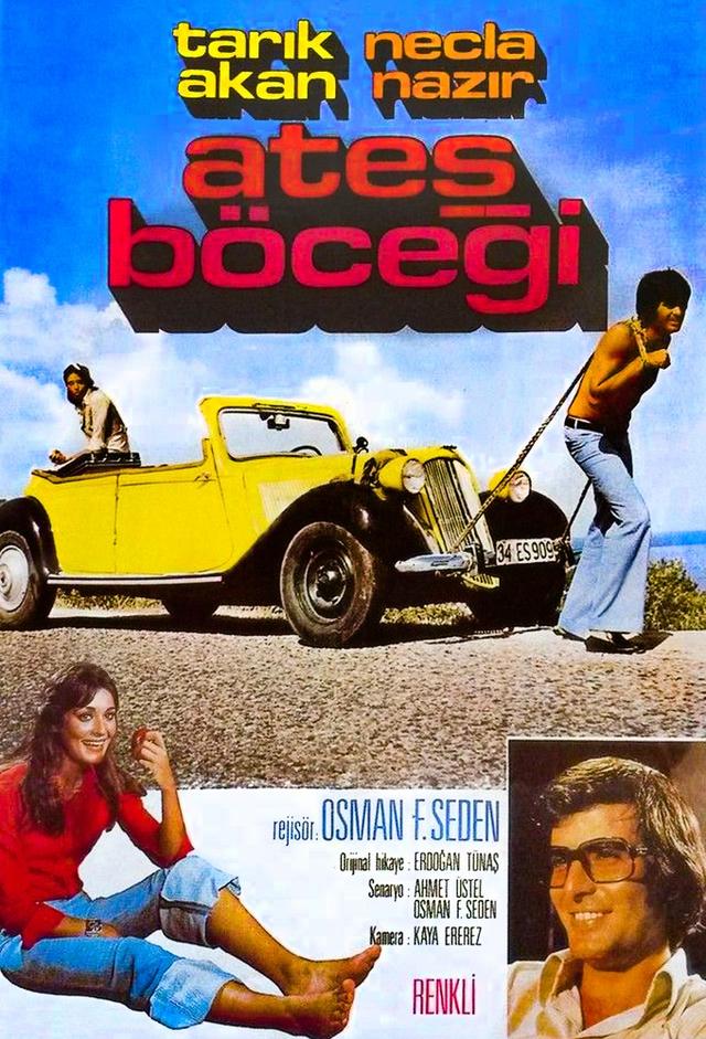Ateş Böceği