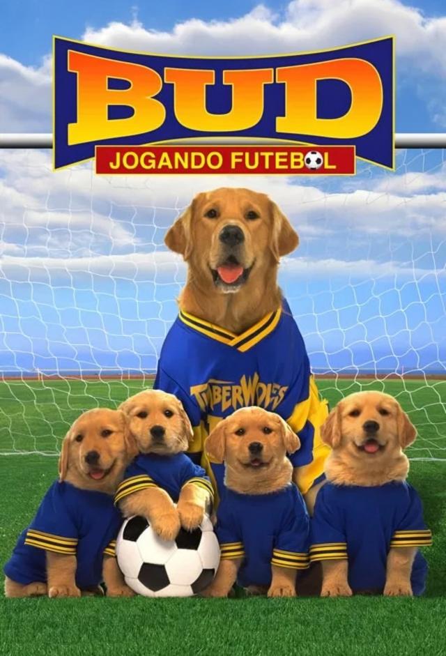 Buddy - pies na gole