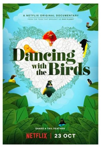 Dancing With the Birds