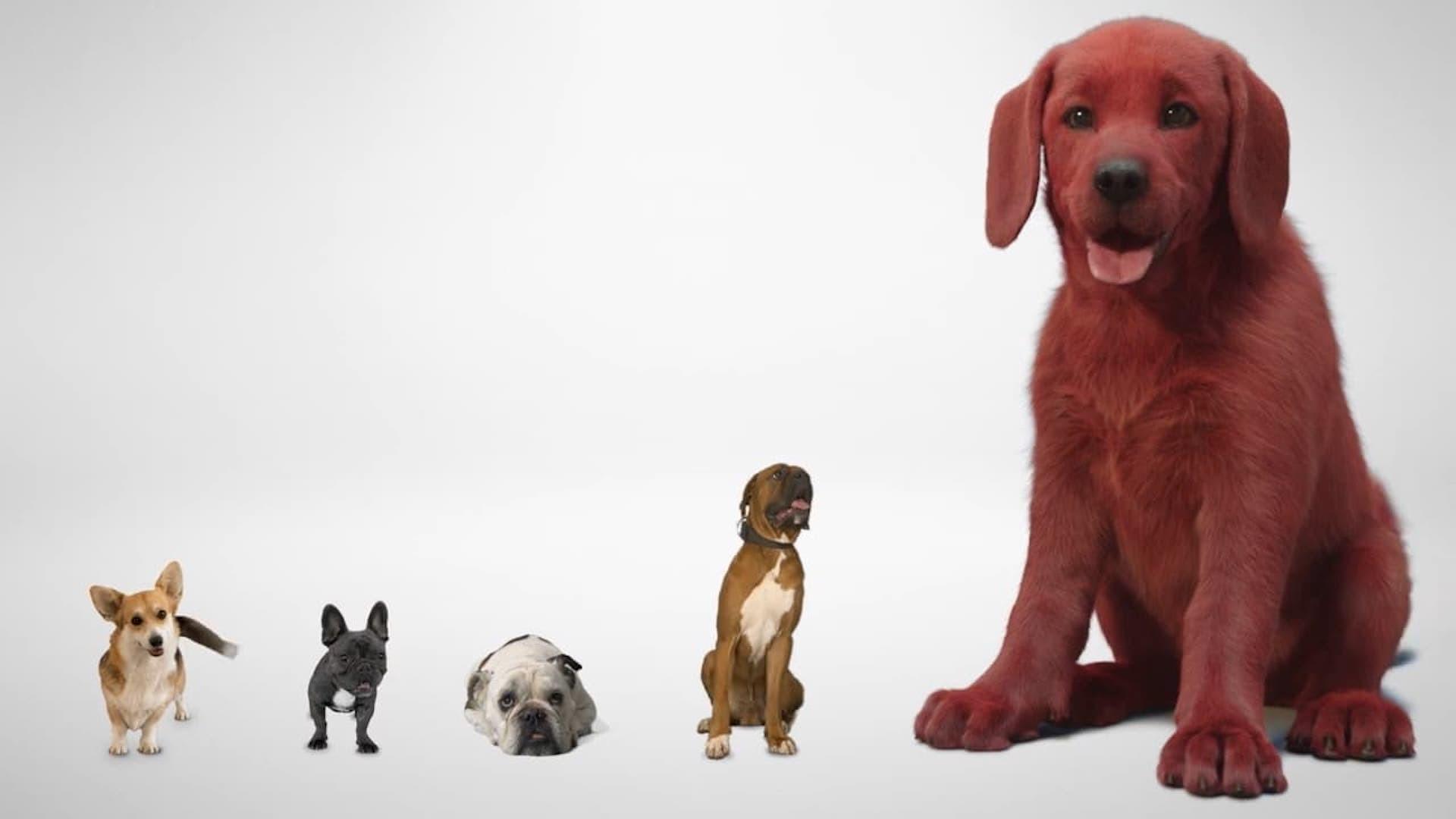 Clifford - Il grande cane rosso