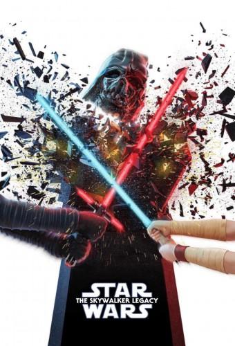 The Skywalker Legacy