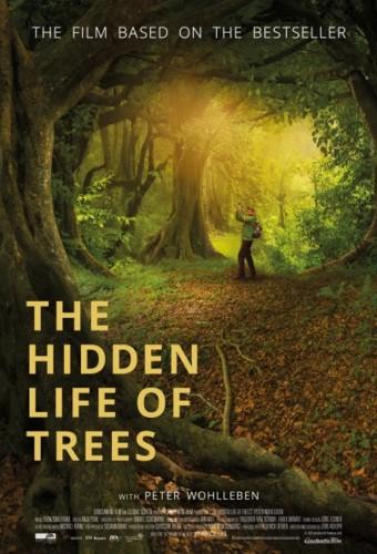 The Hidden Life of Trees