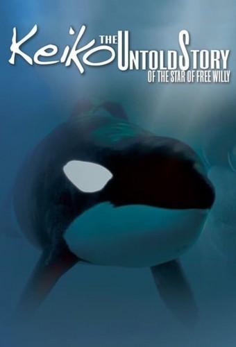 Keiko The Untold Story of the Star of Free Willy