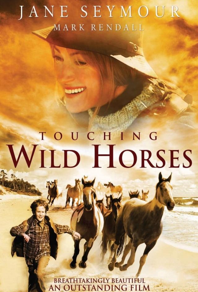 Touching Wild Horses