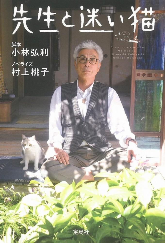 Teacher and Stray Cat