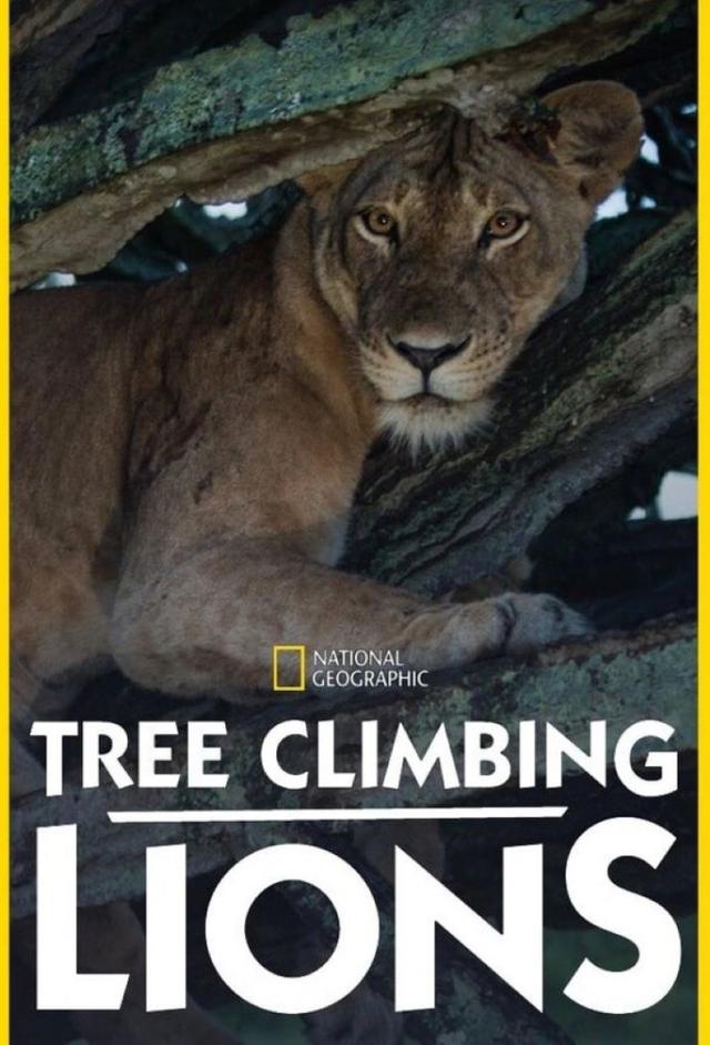 Los leones trepadores
