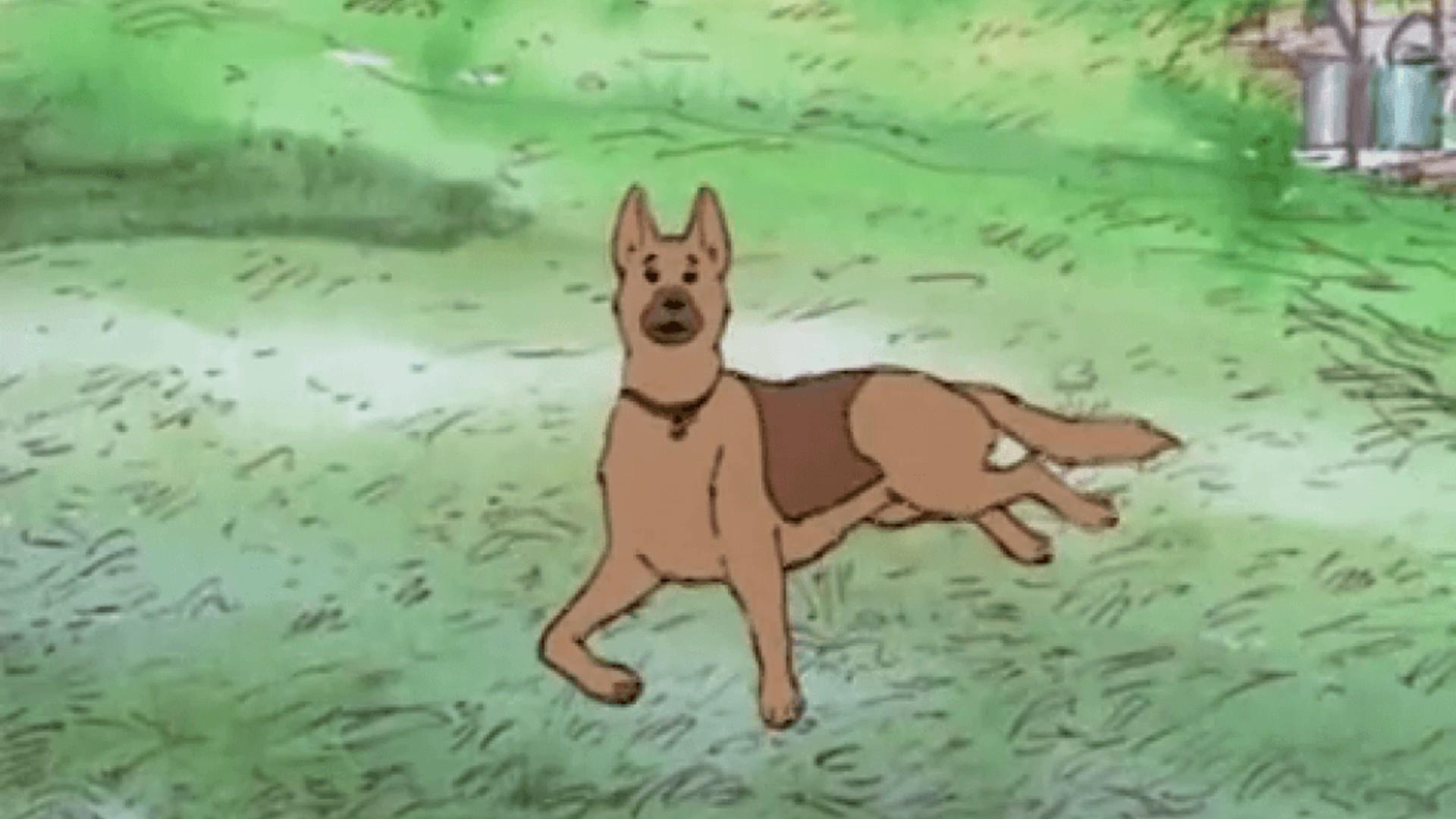 Gréti – A Dog’s Notes