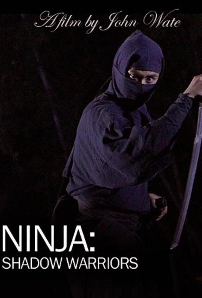 Ninja Shadow Warriors