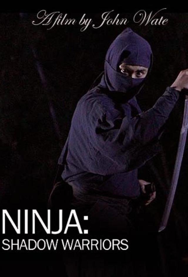 Ninja Shadow Warriors