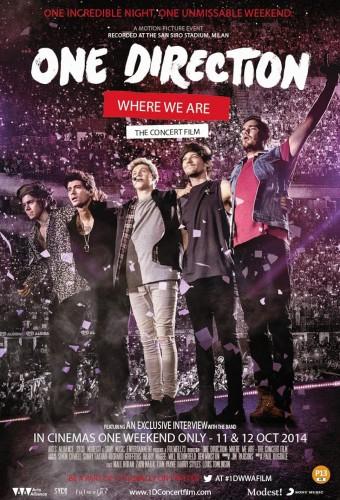 One Direction: Where We Are - The Concert