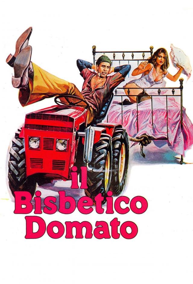 Il bisbetico domato