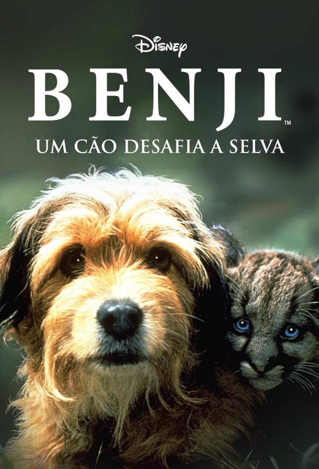 Benji, sein größtes Abenteuer