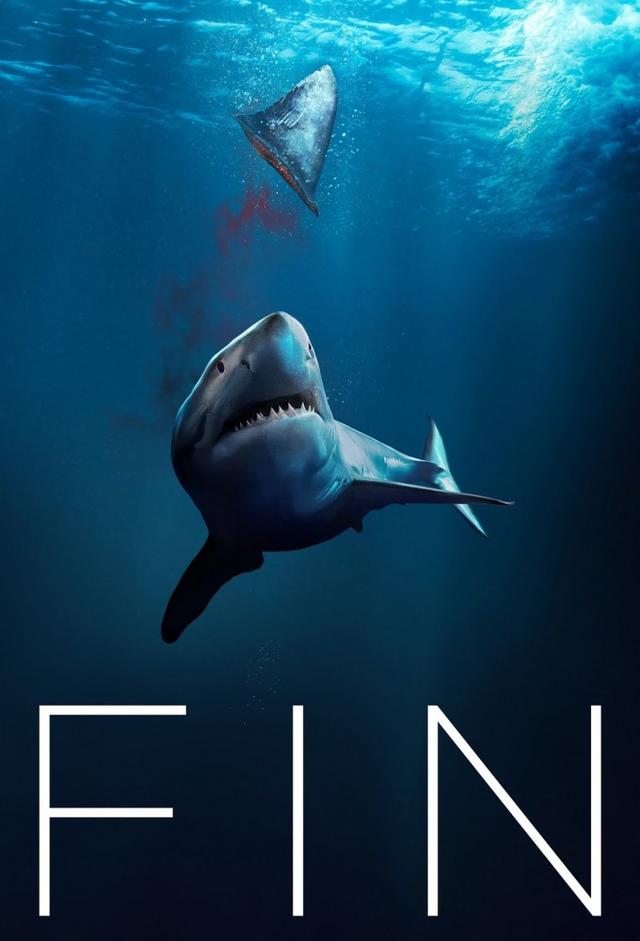 Fin