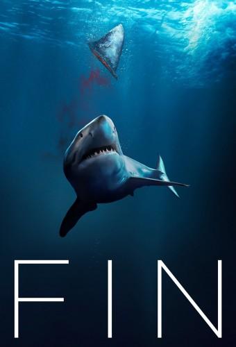 Fin