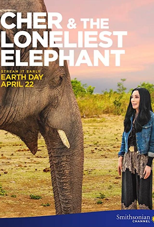Cher and the Loneliest Elephant