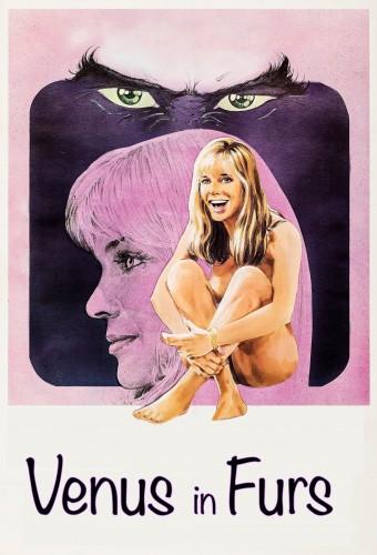 Venus in Furs