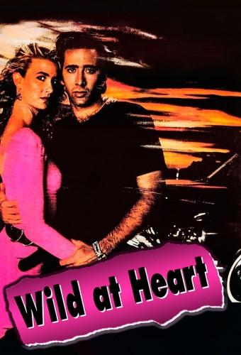 Wild at Heart
