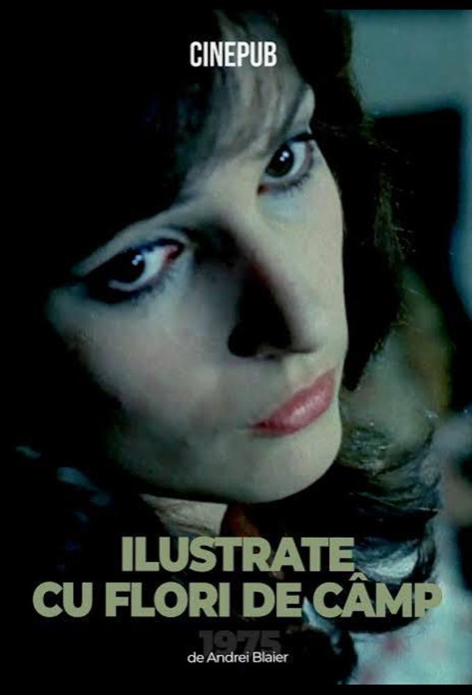 Postcards with Wildflowers