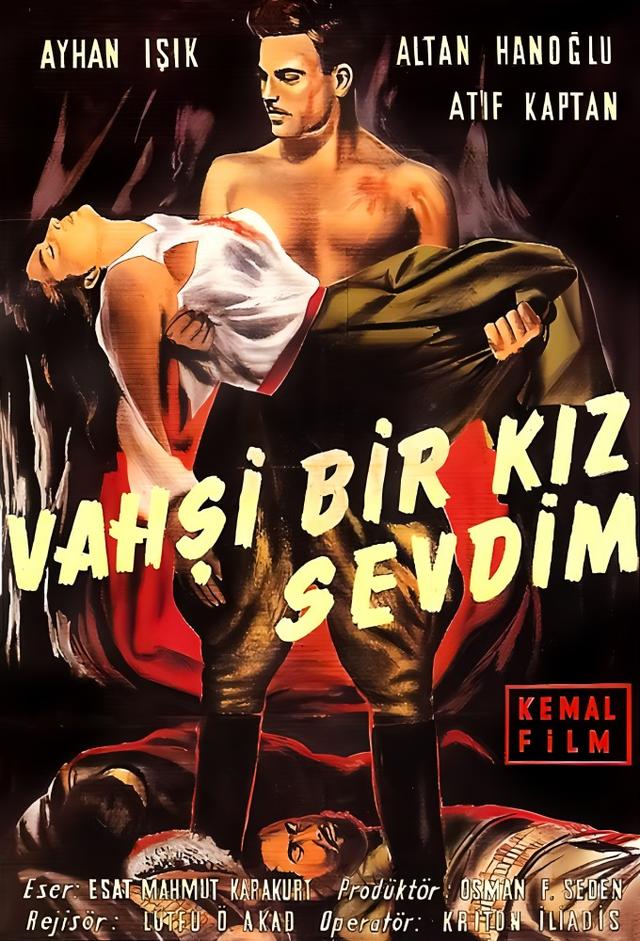 Vahşi Bir Kız Sevdim