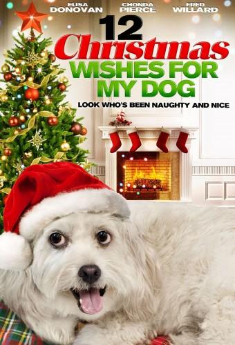 12 Wishes of Christmas