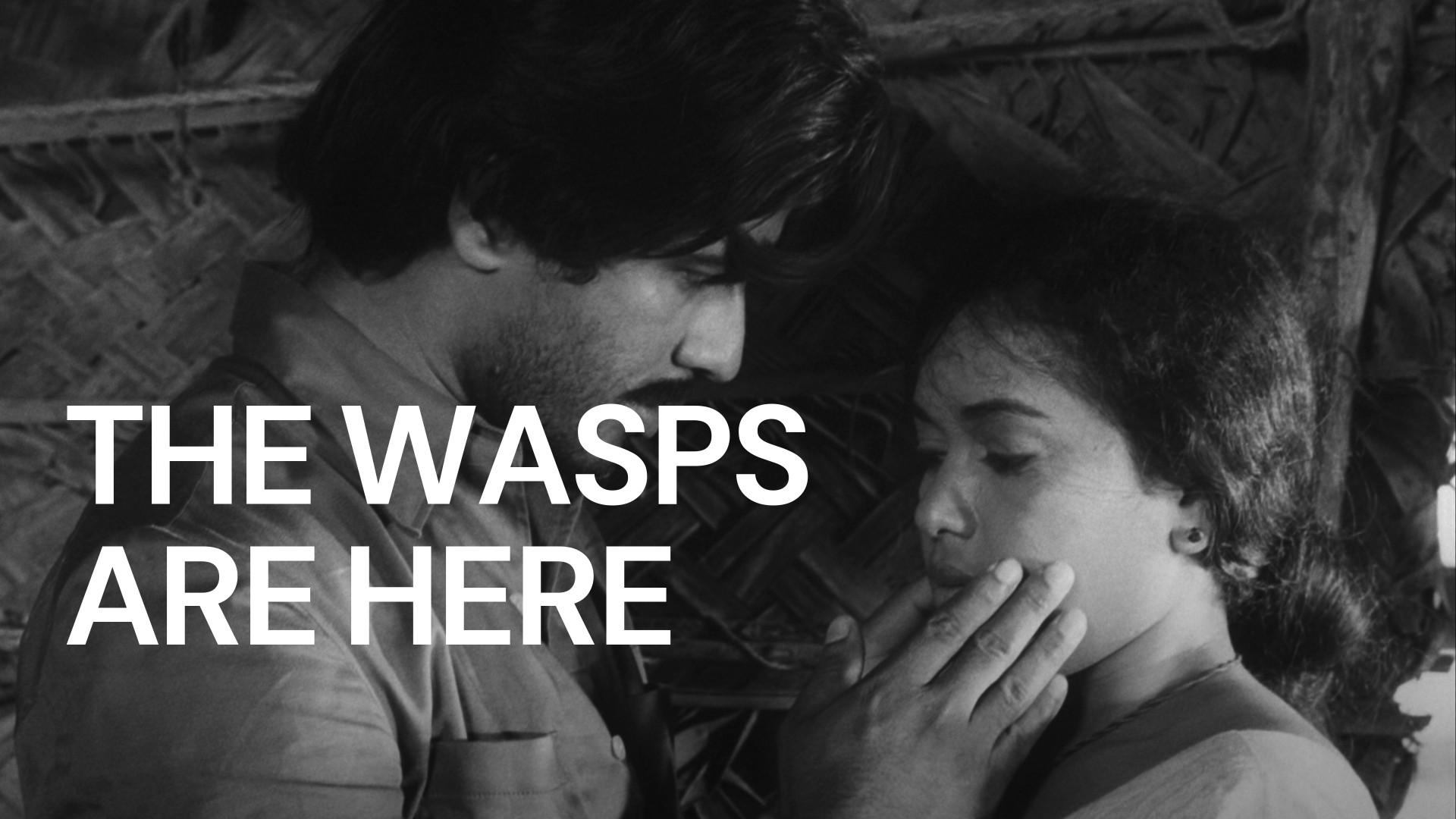 The Wasps Are Here