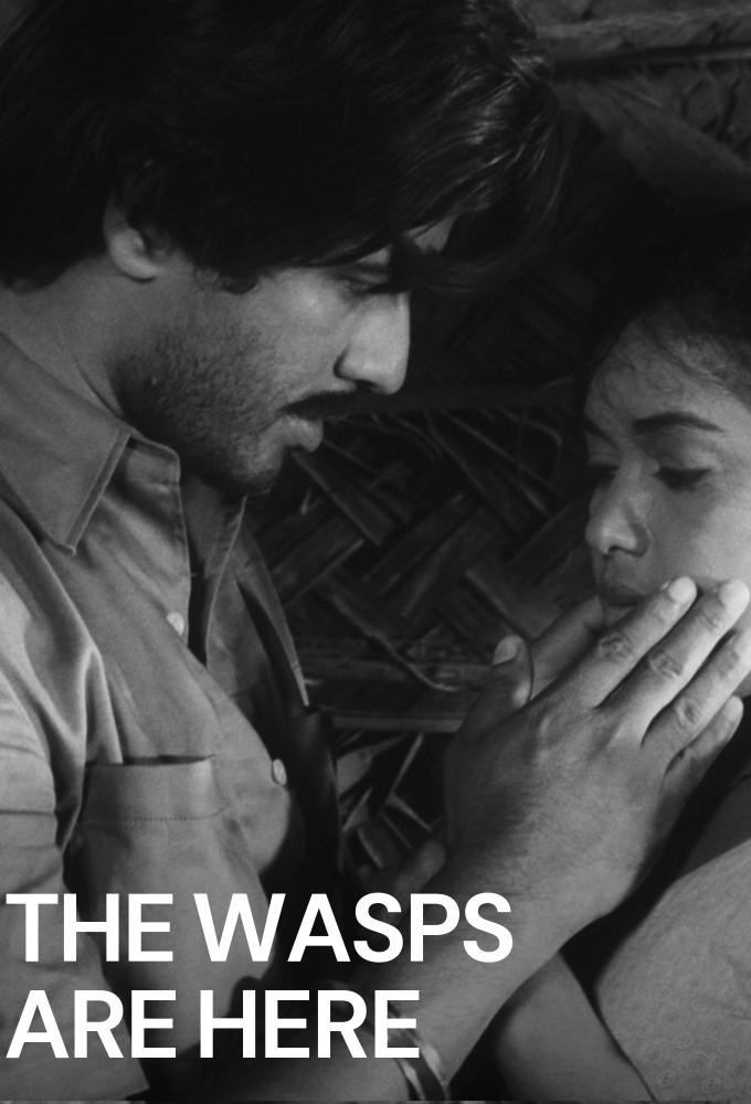 The Wasps Are Here