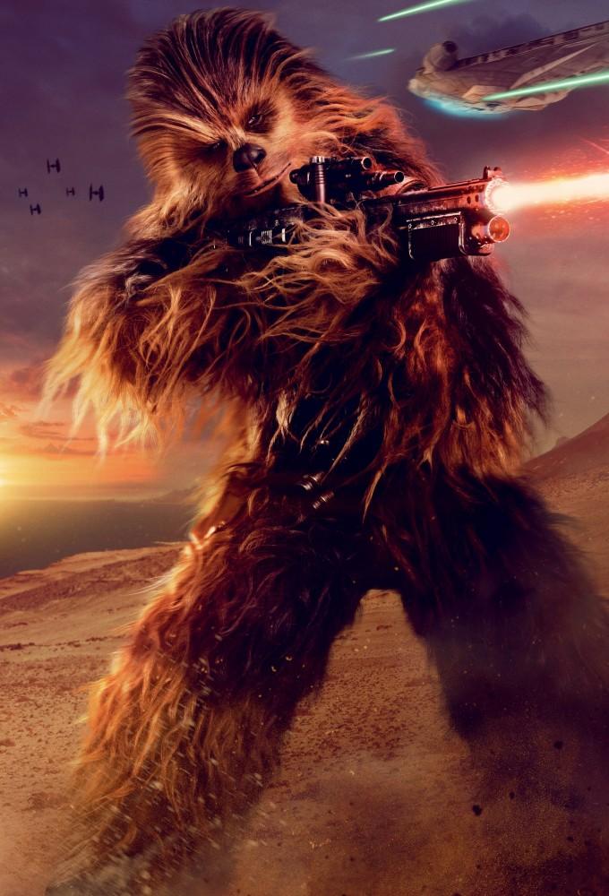 Solo: Team Chewie
