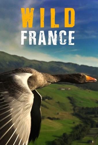 Le plus beau pays du monde, opus 2